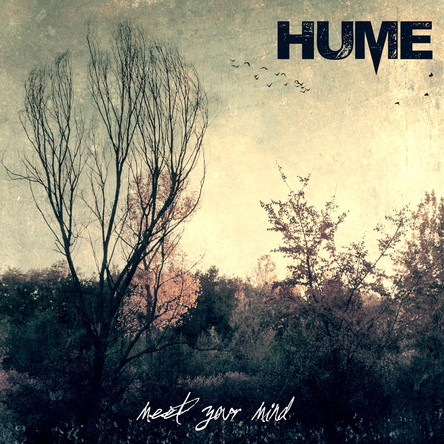 Richie Hume “Meet Your Mind”