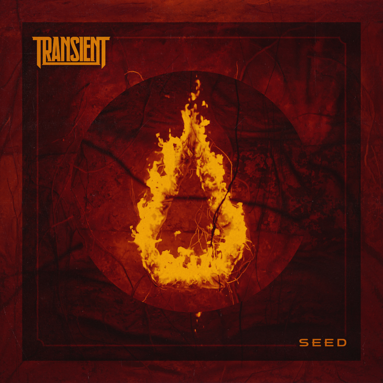 Transient ‘Seed’