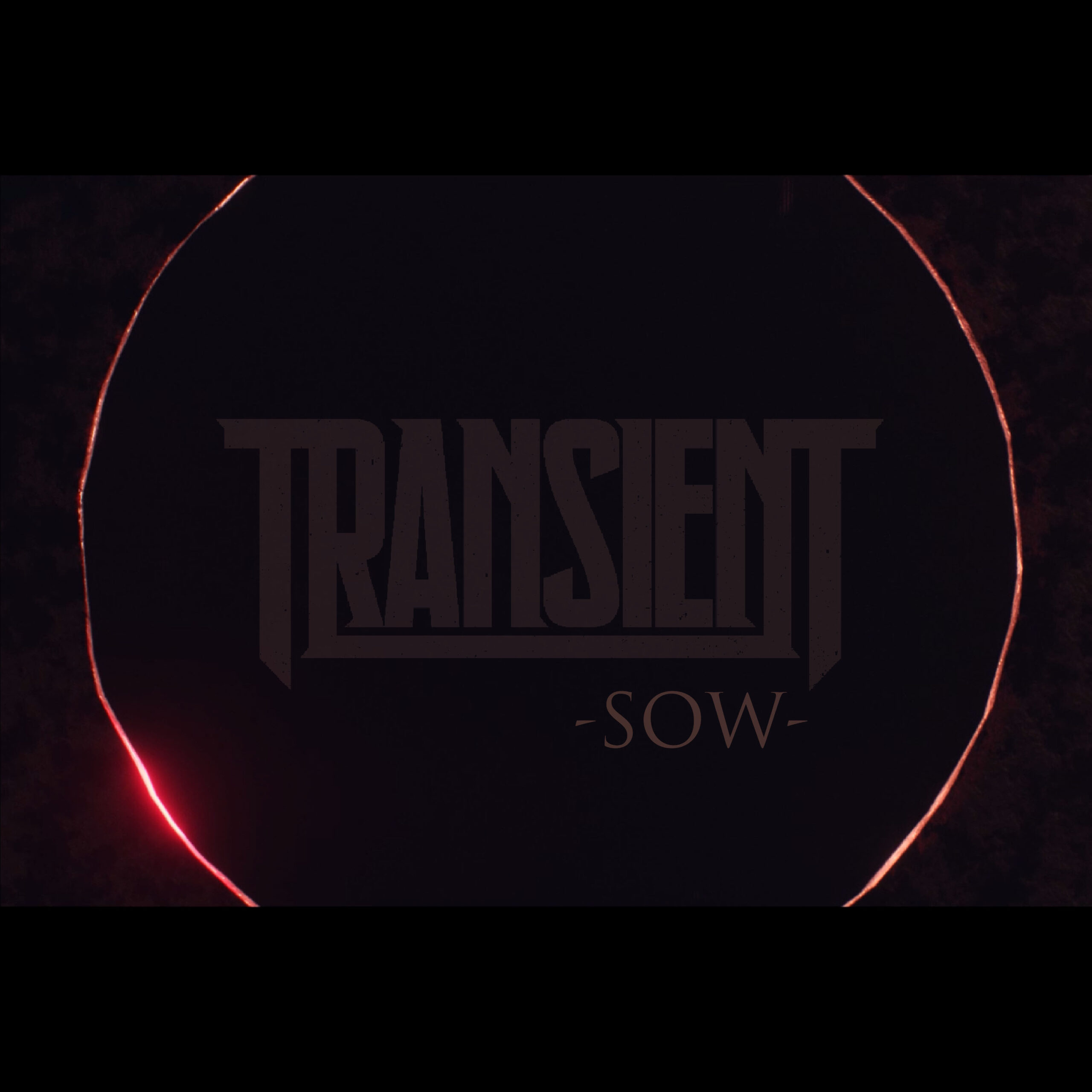 Transient ‘Sow’