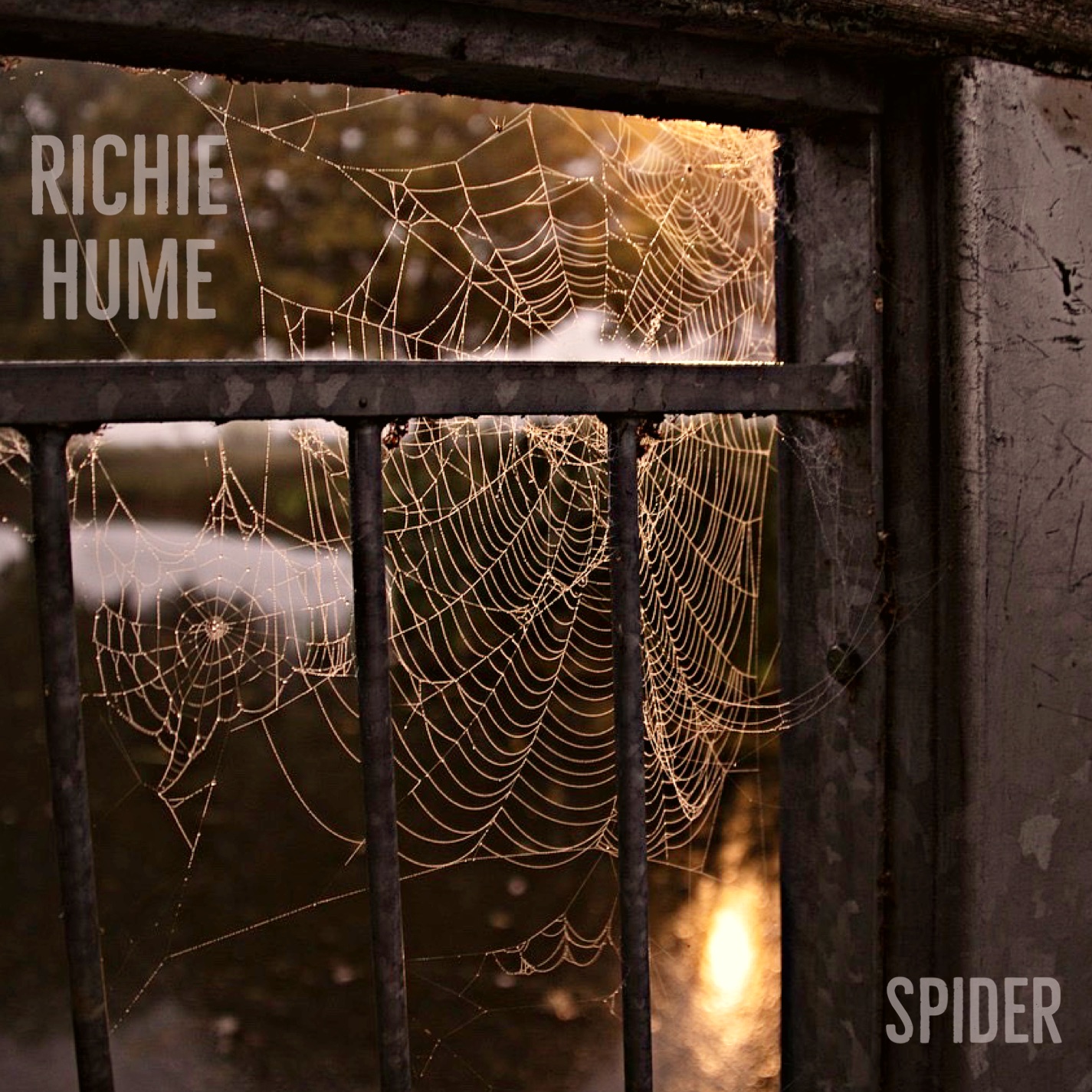 Richie Hume “Spider”