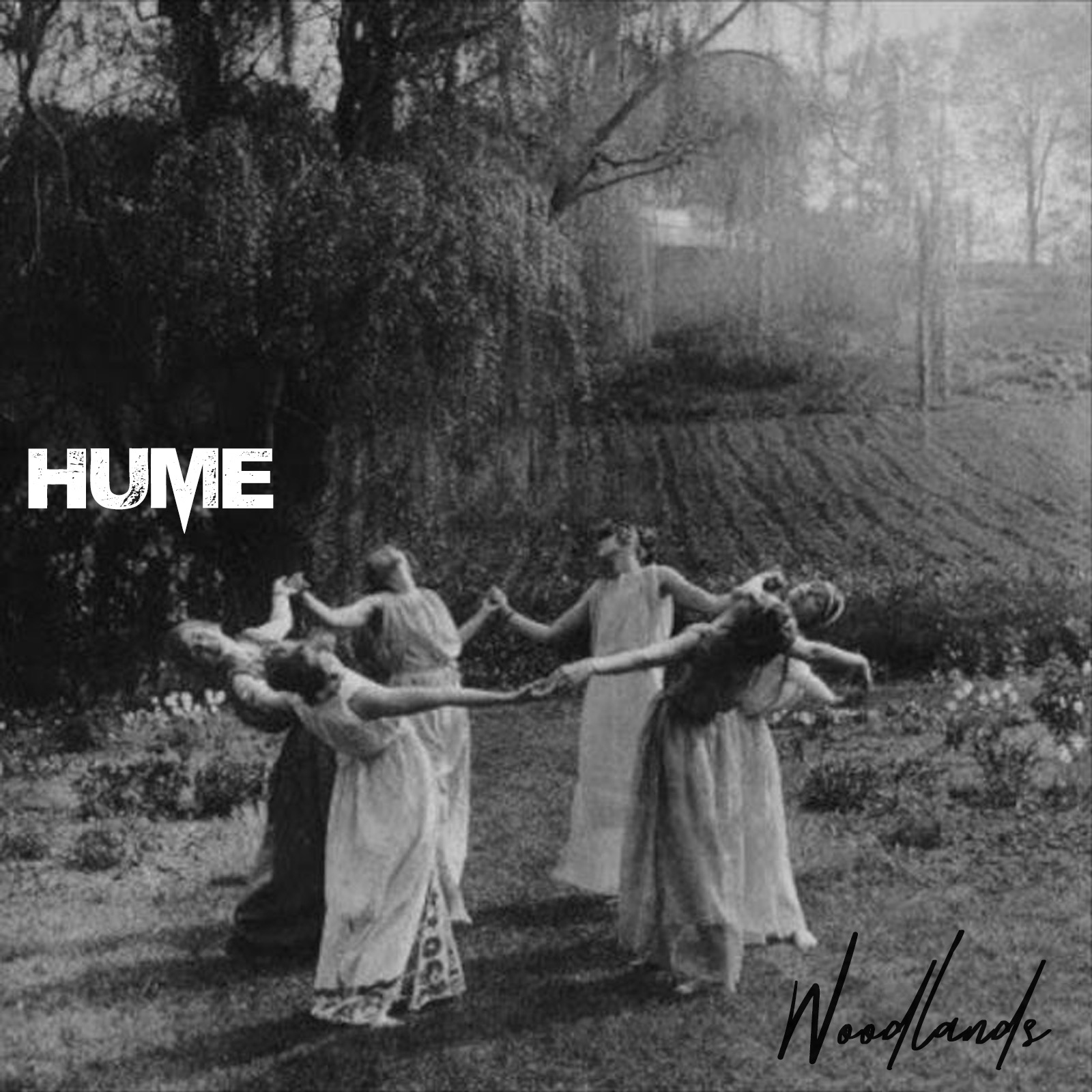 Richie Hume “Woodlands”
